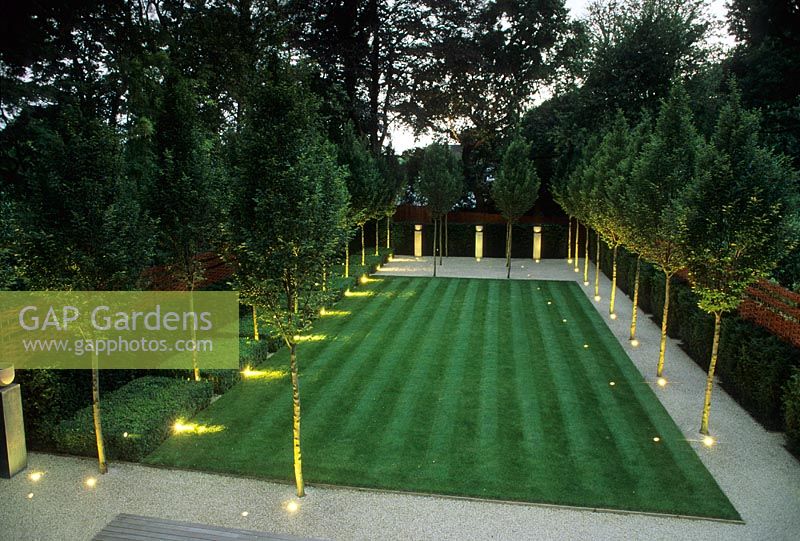 Large town back garden with striped lawn lined with avenue of clipped trees illuminated with uplights - Reddington Road, Hampstead, London