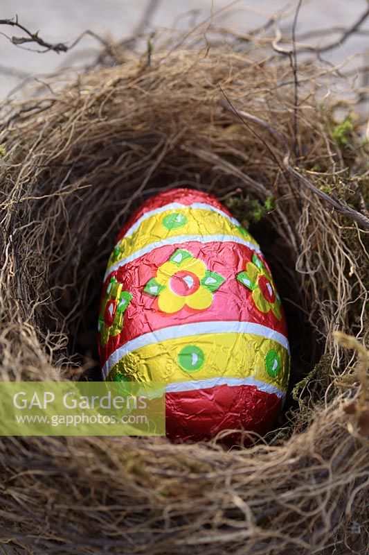 A chocolate Easter egg in a natural bird's nest