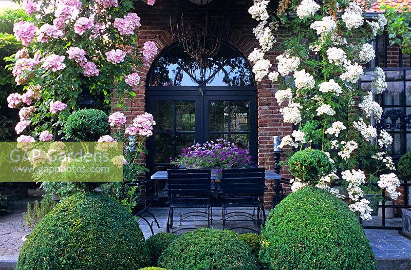 Pergola with Rosa 'Toby Tristan' and Rosa 'Blush Rambler'. Buxus topiary and seating area.