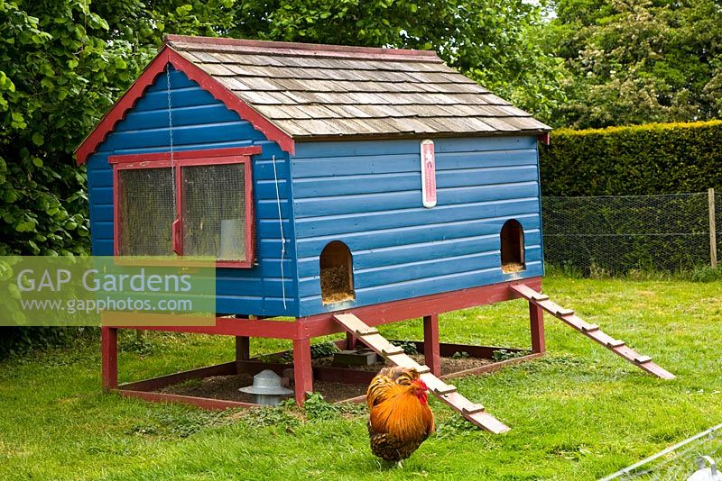 A raised wooden hen house