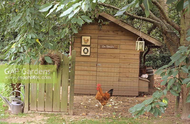 A wooden shed used as a hen house