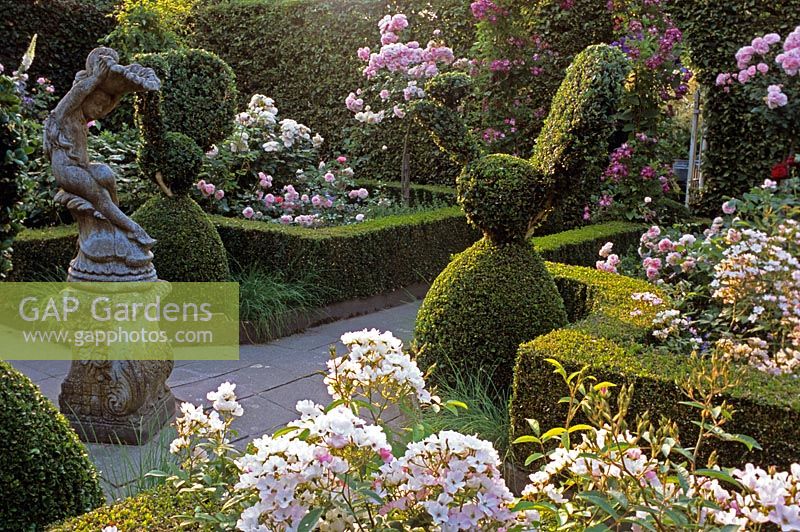 Stone statue in formal rose garden with Buxus topiary