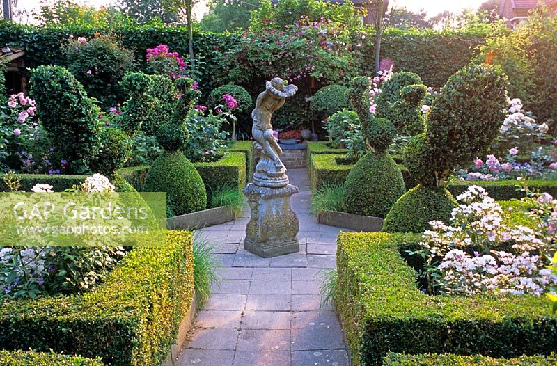 Stone statue in formal rose garden with Buxus topiary 