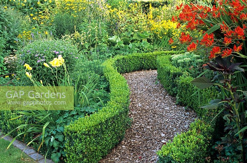Bark chipping path throught borders with low Buxus edging