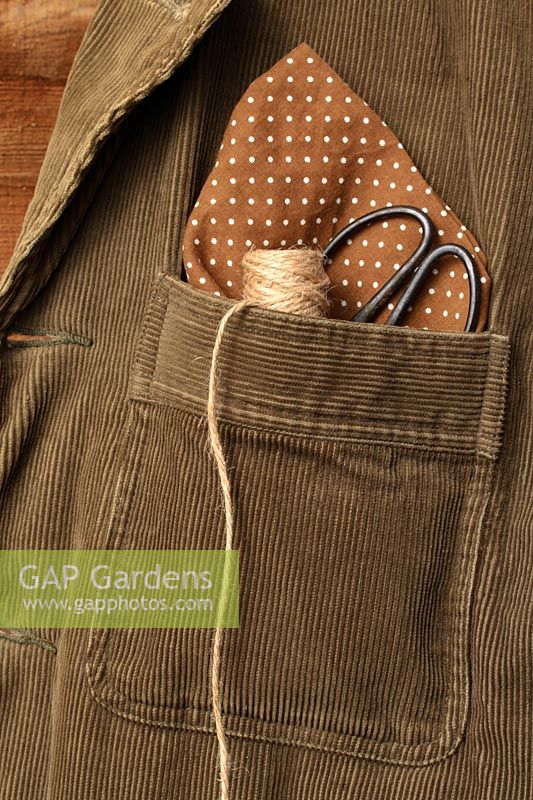 Corduroy jacket with a spotted handkerchief, roll of natural jute garden twine and scissors in top pocket