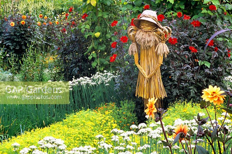 A scarecrow in a potager garden
