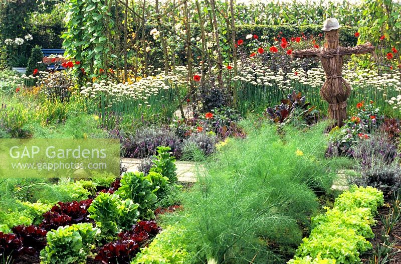 A Potager garden with mixed planting