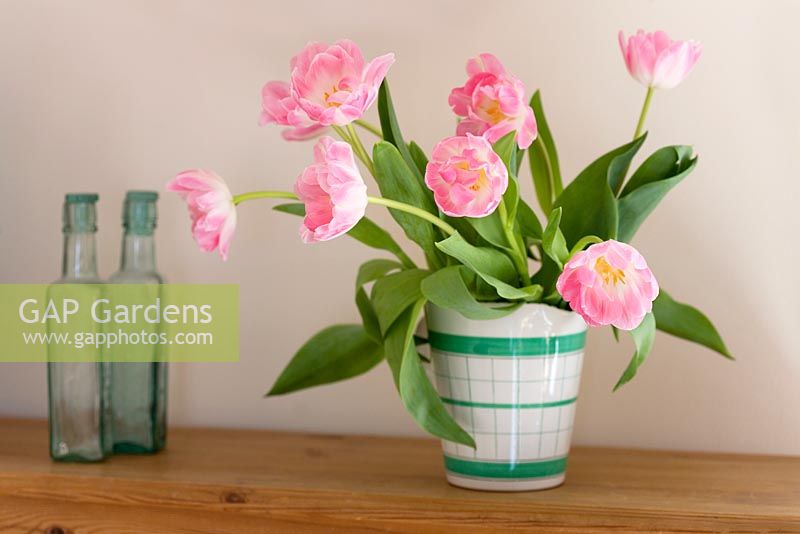 Tulipa - Pink double Tulips in a green and white 1930's jug