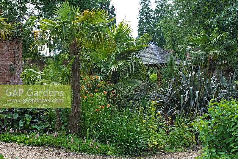 Hot and exotic borders with summerhouse