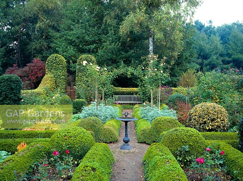 Formal garden with clipped Buxus hedges