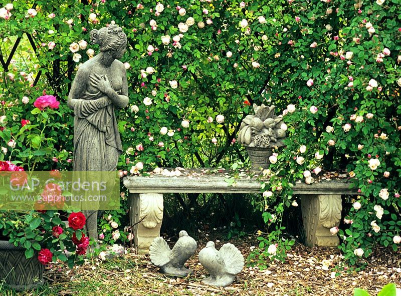 Statues and ornaments underneath a pavillion covered in Rosa 'Ayrshire Queen'
