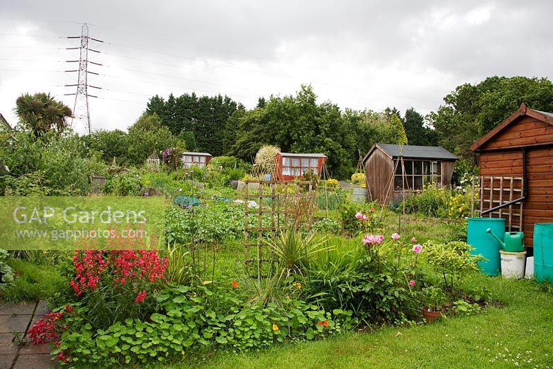 View of a city allotment - Chalet Gardens in Bristol, showing the Chalets