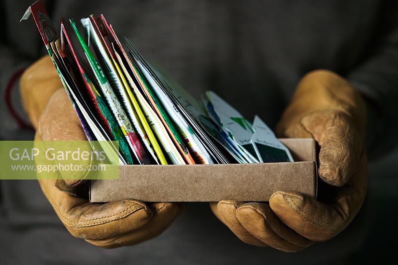 Collection of seed packets and labels held in gloved hands