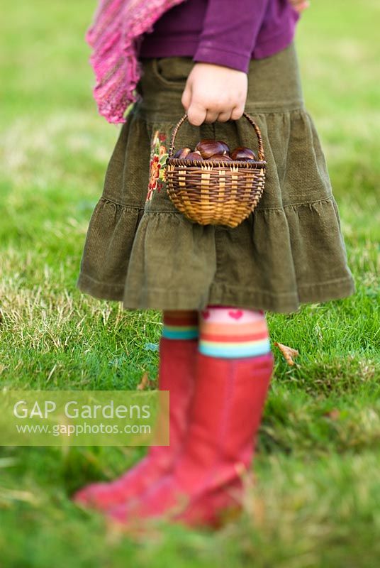 Little girl holding a basket of Sweet Chestnuts 