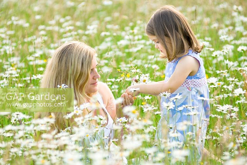 Mother and daughter in a daisy field. Little Girl holding a bunch of daisies.