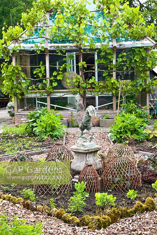 Rustic kitchen garden with cockerel ornament and woven cloches 