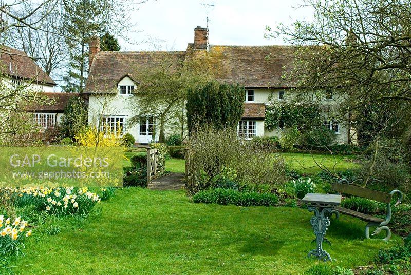 Country garden with seating, lawn, Narcissius, bridge and house in spring - Little Becketts, Essex