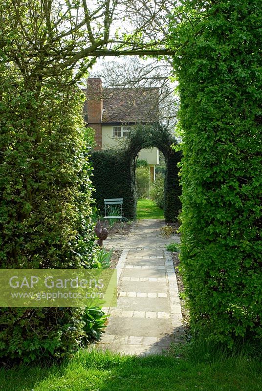 View through hawthorn hedge entrance down path of vegetable garden at Little Becketts, Essex