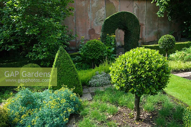 Topiary shapes in formal herb garden
