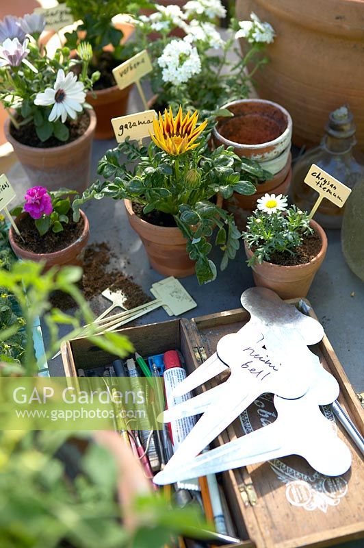 Wooden box with pencils and labels, pots with annuals