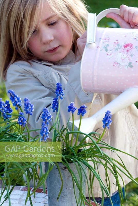 Girl watering Muscari in pots with painted enamel watering can 