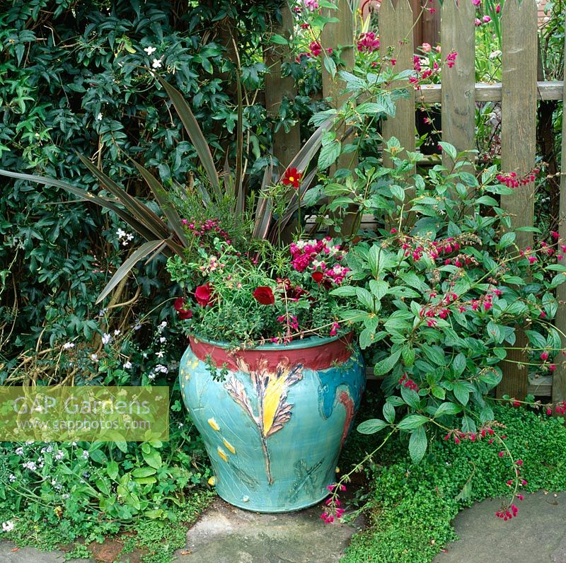 Ceramic pot with Phormium, Salvia, stock, Anemones, Viola and Boronia - San Francisco