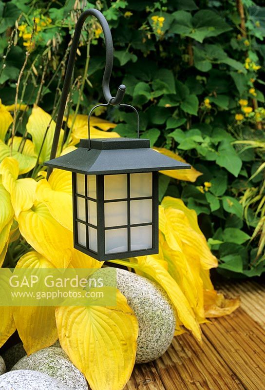 Oriental style solar lantern backlit by a hosta colouring up in the Autumn as it spills between decking and granite boulders