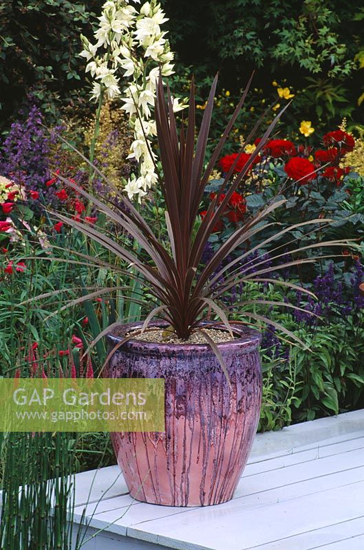 Fibreglass pot with Cordyline by Christian Day Ltd - The Citroen Garden, Hampton Court 1996 