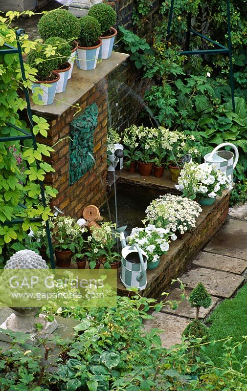 Water feature - Wall mounted head of neptune fountain above brick pool, with white themed containers and painted watering cans around edge. Designed by Anthony Noel