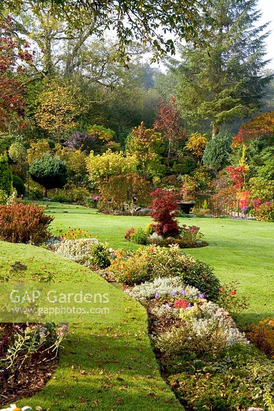 Acid loving planting in ribbon border and general view of garden