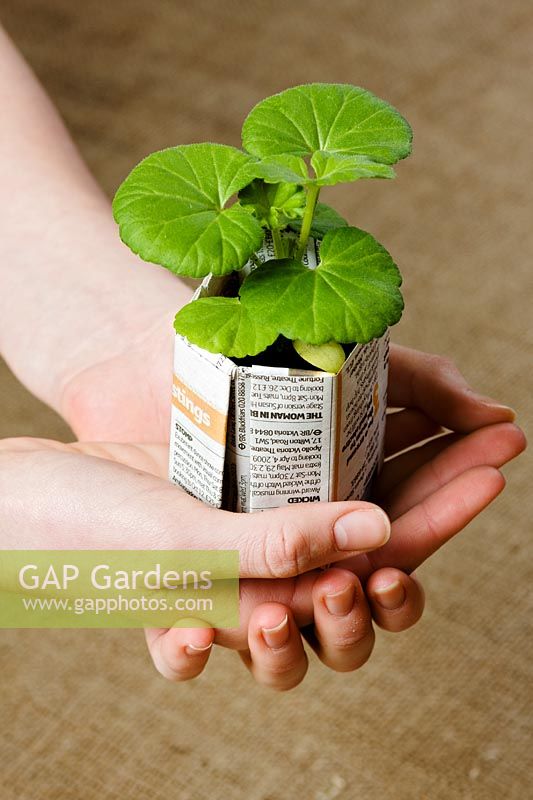 Making paper pots - finished boxes - flaps can be folded inside, but when the box is filled with compost they will stay flat if left out