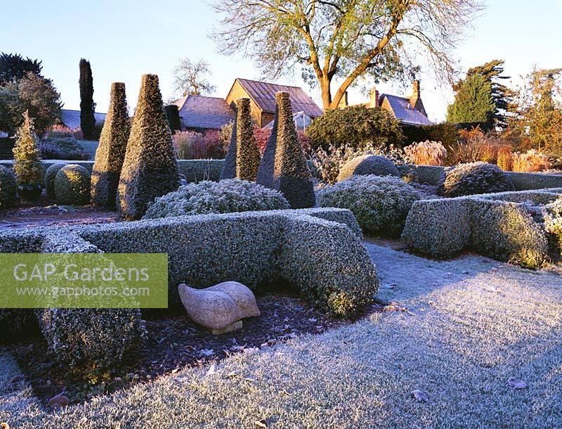 The parterre in frost with sculpture by Briony Lawson - Pettifers Garden, Oxfordshire