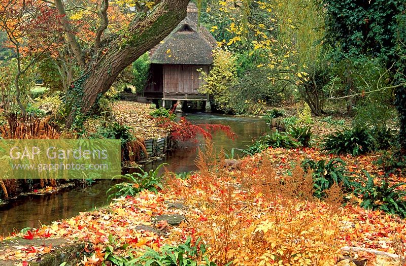 Japanese tea house straddling the River Avon with carpet of fallen leaves from Liquidamber styraciflua 