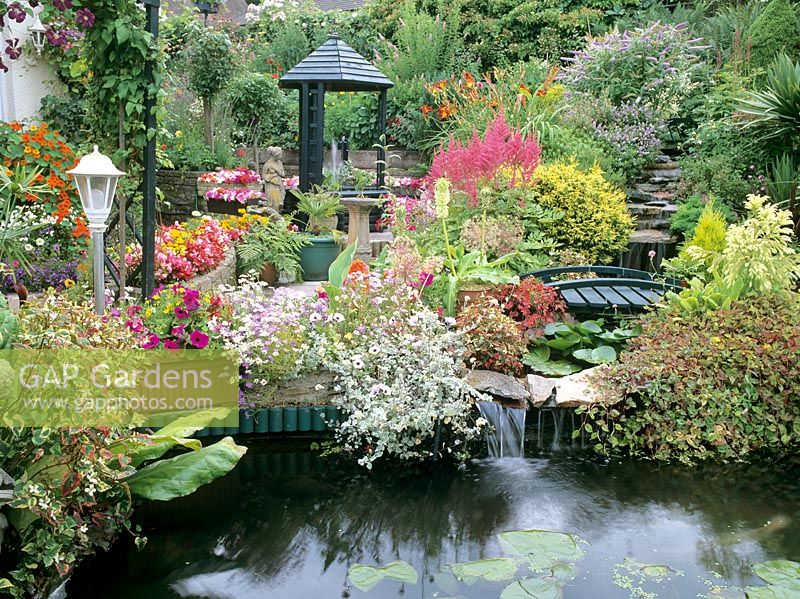 Small garden with pond feature and waterfall - Plants include Astilbe, Eucomis and Houttuynia