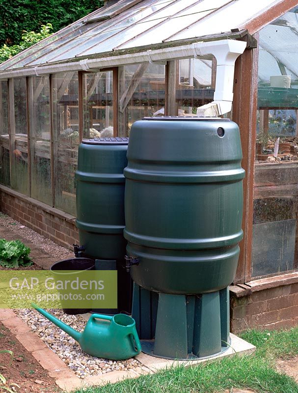 Water butts in garden fed off greenhouse gutter