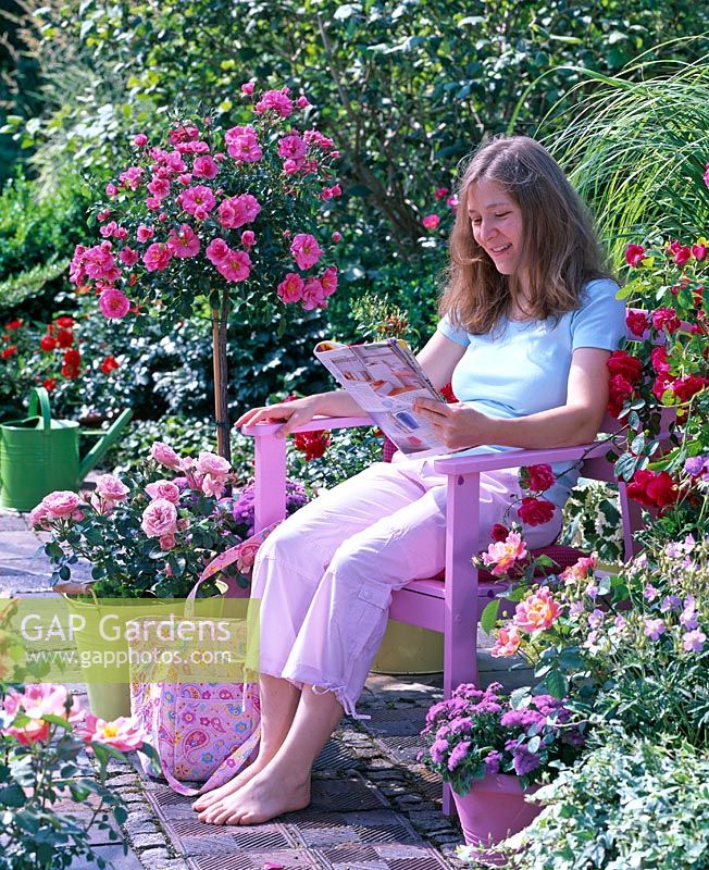 Woman sitting reading on patio with containers of Rosa 'Medley Pink', Rosa 'Leonardo da Vinci', Rosa 'Medley Red', Rosa 'Flammentanz' and Rosa 'Herzogin Frederike'