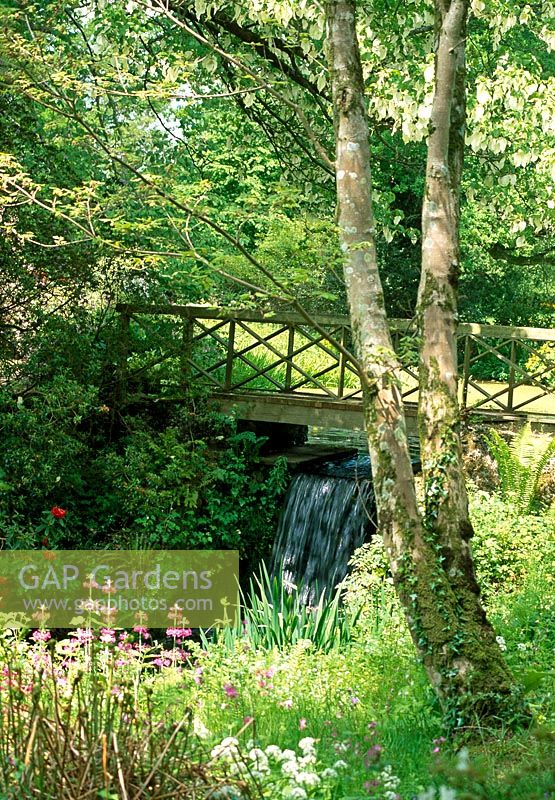 Wooden bridge across one of the many cascades built in the 18th century by Admiral Robert Digby, to create interest along the course of the River Cerne. Minterne Gardens, nr Dorchester, Dorset.