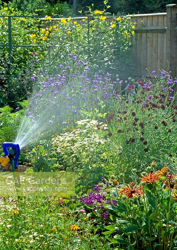 Sprinkler being used to water flower beds
