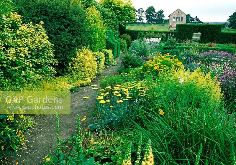 Golden leaved shrubs and grasses edge the flower garden - Herterton House, nr Cambo, Morpeth, Northumberland