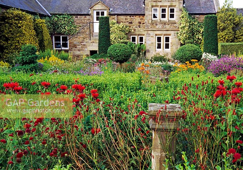 Red bed in the flower garden including Monarda didyma, Knautia macedonica, Sangiusorba officinalis and alliums - Herterton House, nr Cambo, Morpeth, Northumberland