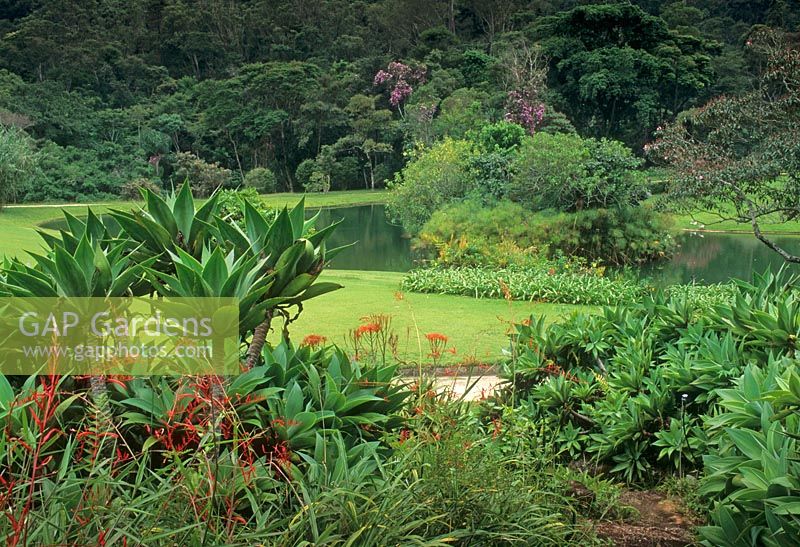 Tropical garden - Fazenda Marambaia, Petropolis, Brazil
