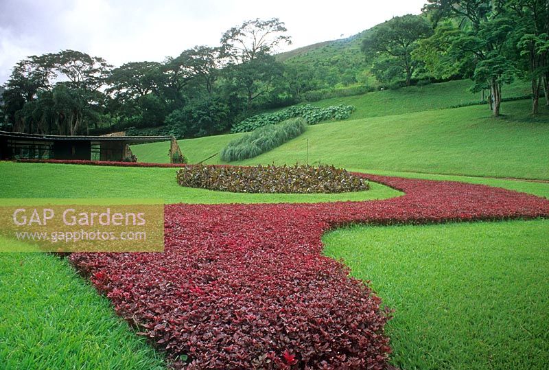 Low, contrasting colour beds in tropical garden - Petropolis, Brazil