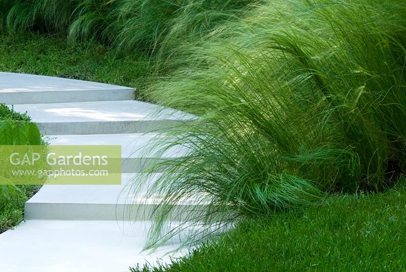 A stone path with steps bordered by Stipa tenuissima - Garden - Studio Lasso Garden in the Silver Moonlight, Sponsors - Royal Palm Residences Seychelles, Urban Regenerate Association of Niigata Supported by - The Great Britain Sasakawa Foundation,The Japan Society