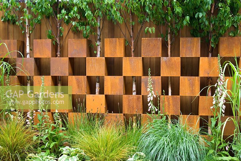 Betula trees growing through a wall created from alternating corten steel boxes with planting of mixed grasses and perennials including digitalis and hostas - Garden - The Pemberton Greenish Recess Garden, Designer - Paul Hensey with Knoll Gardens, Sponsor - Pemberton Greenish