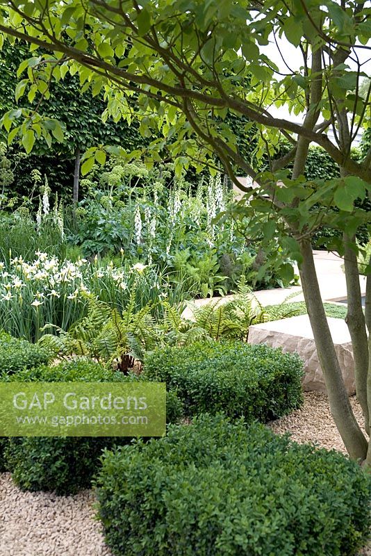 The Reflective Garden, Designer - Clare Agnew Design, Chelsea Flower Show 2008