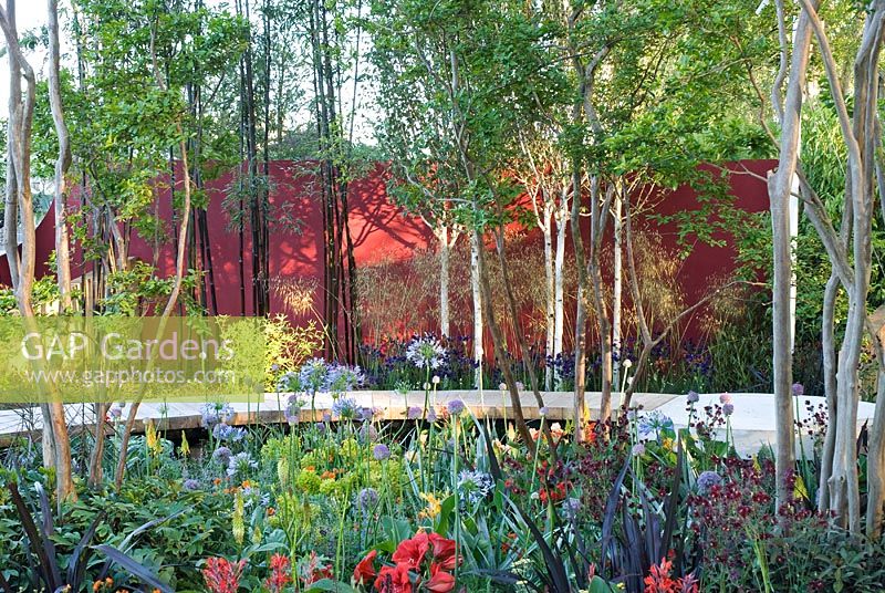 The Lloyds TSB Garden, Design Trevor Tooth, Sponsor LLoyds TSB - Chelsea Flower Show 2008