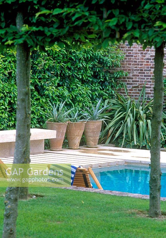 View through pleached trees to swimming pool