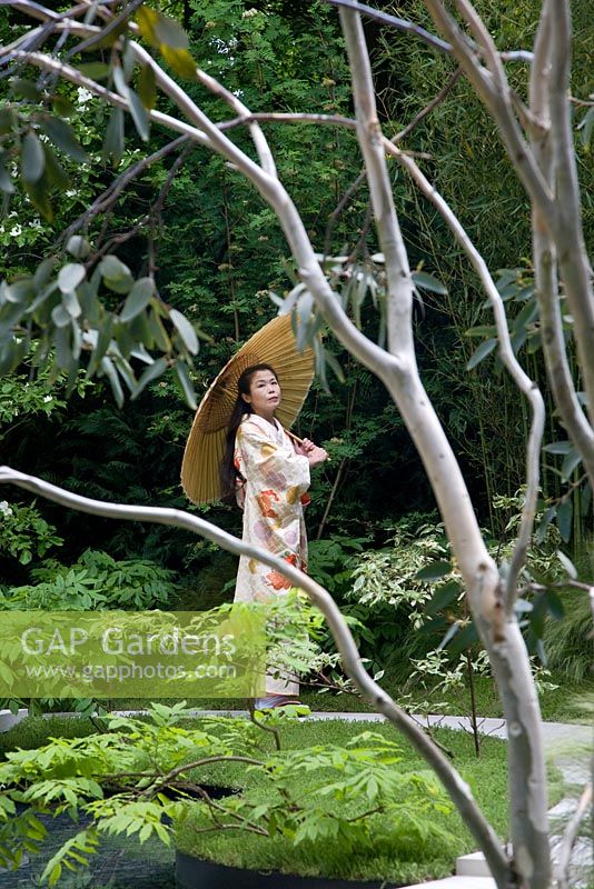 Japanese lady in traditional dress with parasol through branches of Eucalyptus. Garden in the Silver Moonlight, Design Haruko Seki and Makoto Saito. Sponsor - Royal Palm Residences Seychelles, Urban Regenerate Association of Niigata Supported by - The Great Britain Sasakawa Foundation, The Japan Society

