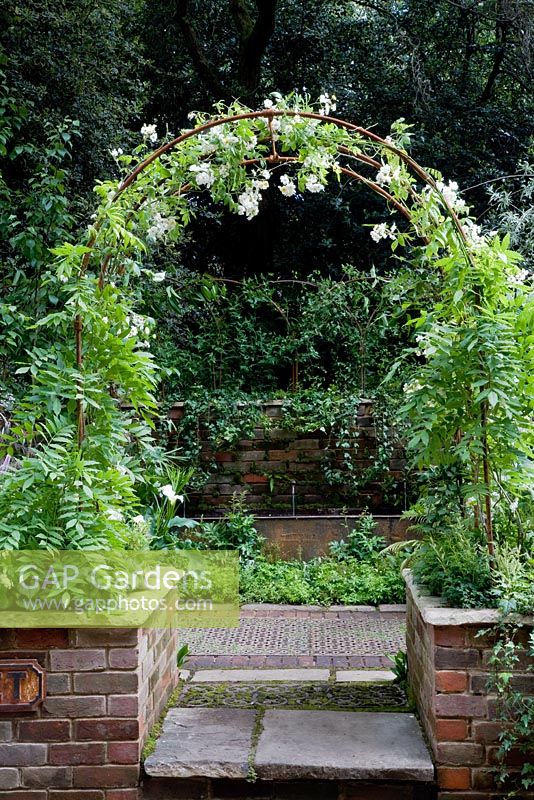 Archway with rose, water feature on wall. Garden - 42 Catherine Street, Design - Berkshire College of Agriculture garden design students
