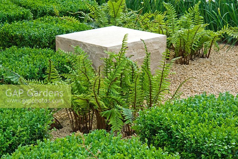 Cubes of Buxus sempervirens, ferns and quarried stone in The Reflective Garden, Design - Clare Agnew Design, Sponsor - Ruffer LLP